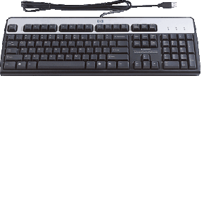 HP USB Standard Keyboard clavier Noir, Argent